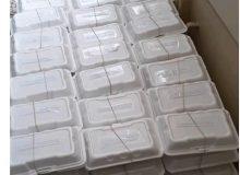 اجرای طرح اطعام علوی در دهه ولایت (قشم)